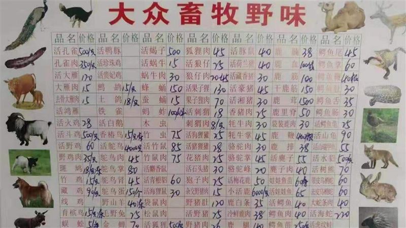 超誇張！武漢大學刊物竟帶頭宣傳野味
