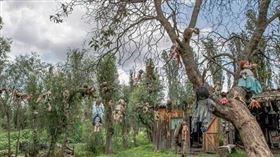 墨西哥娃娃島(圖/翻攝網路)