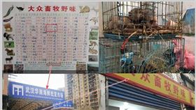 武漢肺炎,高福,新型冠狀病毒,海鮮市場,野生動物,野味,潘建志
圖／翻攝自YouTube影片截圖、陸媒中新網、潘建志臉書