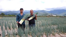 地方創生激發活力　宜蘭三星大躍進宜蘭縣三星鄉主動爭取成為全台第一個地方創生示範鄉鎮，不只把特產三星蔥加值，也積極強化自身優勢，吸引更多遊客前來。（國發會提供）中央社記者潘姿羽傳真　109年1月24日