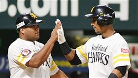 ▲日本職棒軟銀鷹古巴洋砲Alfredo Despaigne（左）、Yurisbel Gracia（右）。（圖／翻攝自推特）