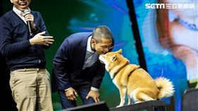 落選後人氣仍飆升 吳怡農上《眼球央視春晚》與她接吻 
出席網路除夕節目 吳怡農登《眼球央視春晚》向觀眾告白
吳怡農與柴犬共吃一條肉 觀眾暴動想當狗
台灣也有《央視春晚》 除夕夜與對岸春晚互尬
斥資兩百萬做除夕節目 《眼球央視》號召影視歌藍綠黃大團圓

圖／眼球中央電視台提供