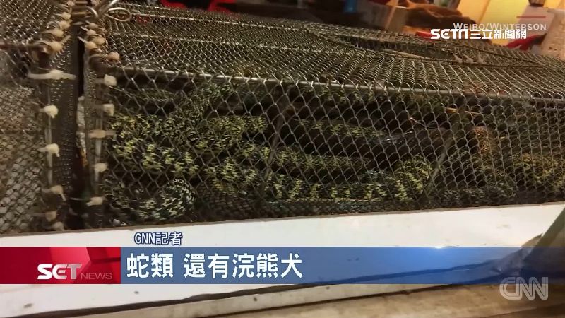 冠狀病毒來源？CNN：疑為「蛇肉」