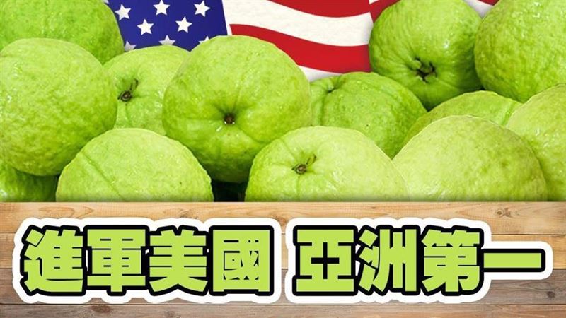 首批芭樂抵美　小英請在美台人做這事