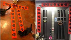 春聯想不到寫啥！貓奴媽「28個喵」解決…網笑：鼠年慘了（圖／翻攝自爆怨公社）
