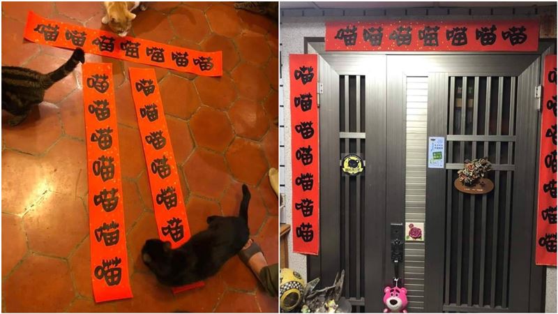 貓奴媽超狂春聯曝光　網笑：鼠年難過