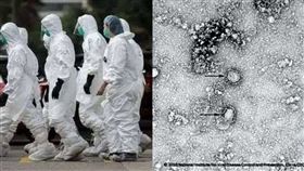 中國疾病預防控制中心公布病毒顯微鏡照片。（圖／翻攝自中國疾病預防控制中心 官網)