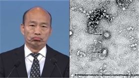 組合圖／資料照