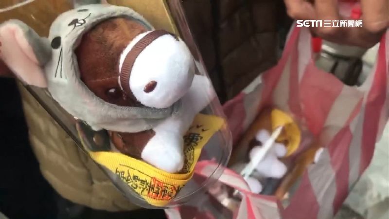 小王馬戴鼠帽　東港「馬靈鼠」被搶光
