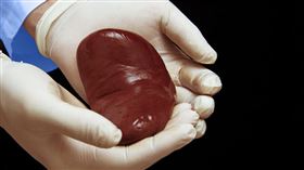 名家專用／草根影響力新視野（勿用）