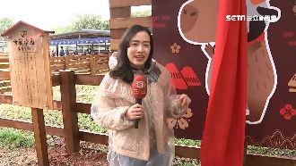 春節應景！開運神社、特色「牛奶鍋」