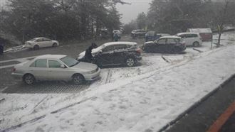 寒流襲合歡山下雪　玉山雪深10公分