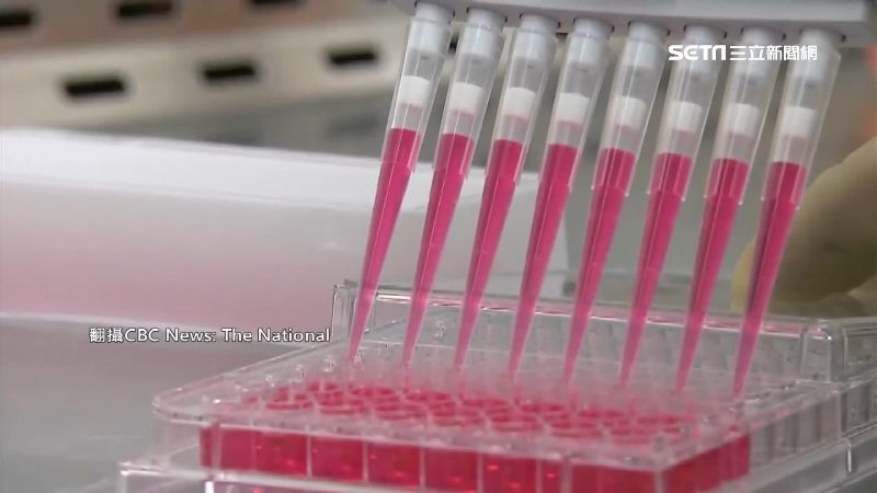 驚！中科學家爆：武漢肺炎來自解放軍