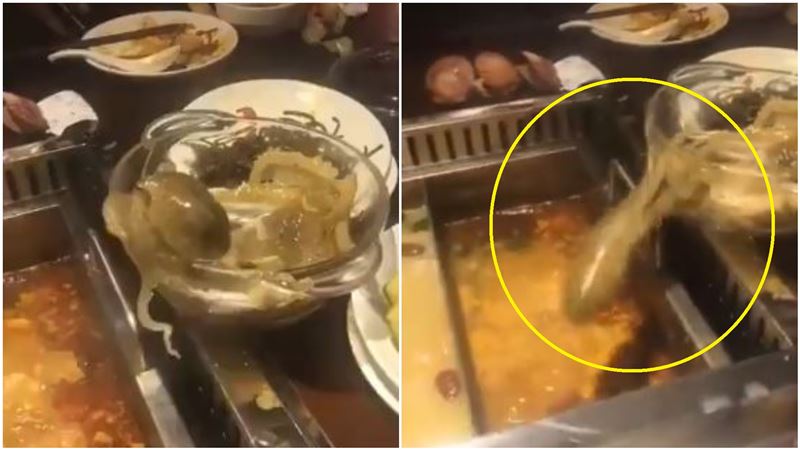 活章魚逃命…下秒撲通進火鍋　網看傻