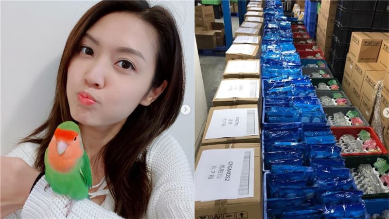 預告口罩進貨惹混亂　女星出面道歉