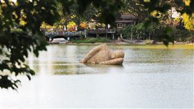 竹編沉睡巨人躺臥湖中  寓意善待自然新竹縣政府邀6名印尼藝術家在峨眉鄉十二寮大埤湖中打造地景藝術，其中竹編打造半躺半臥人像「懶散時光」寓意是提醒觀看者善待自然。中央社記者郭宣(文三)攝 109年1月28日