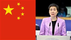 柳芳 國際民航組織