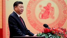 習近平2020年春節談話（圖／翻攝自新華網）