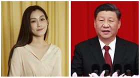 ▲范瑋琪、習近平（組合圖，資料畫面）