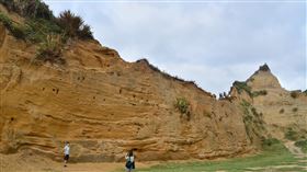 林口水牛坑地形特殊  形成荒漠秘境有美國大峽谷荒漠感的新北市林口區水牛坑巧妙融合周邊景色，黃土峭壁彷彿讓人以為身在邊疆，許多新人會在這裡拍婚紗，或拍MV、影片，展現峽谷獨特魅力。中央社記者黃旭昇新北攝  109年1月29日