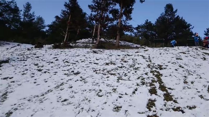 多圖／寒流助攻　玉山下雪成銀白世界