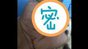 斷掌,搭訕,阿婆,宗教,迷信,長出來,神奇,爆廢公社