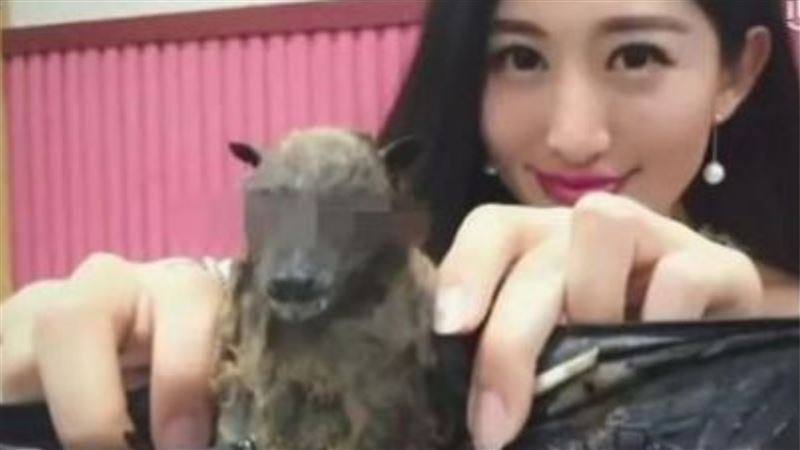 正妹主持人嗑蝙蝠湯　影被翻出遭圍剿