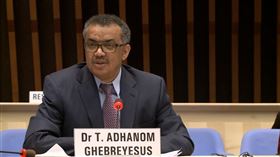 世界衛生組織（WHO）秘書長譚德塞（Tedros Adhanom）(截圖自WHO直播)