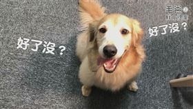 名家專用／毛起來MAOUP（勿用）