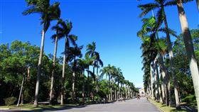 3.6萬師生將開學　台大防疫這樣做