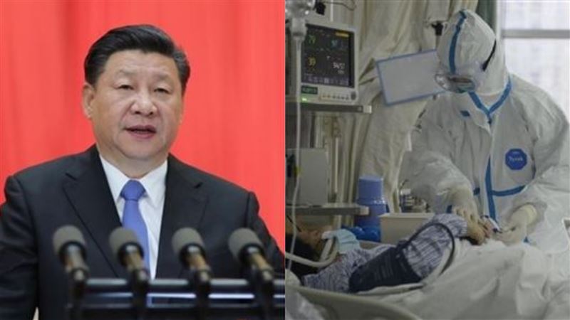 假冒專家遭瑞士打臉　網友嗆翻中國