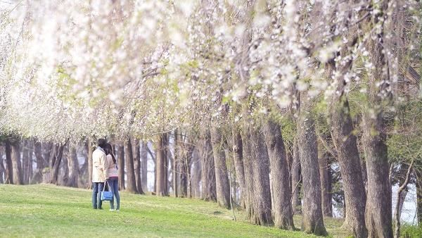 1萬有找！韓國首爾雙樂園一次暢玩