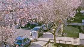 名家專用／旅遊滔客誌（勿用）