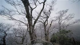 太平山（圖／陳飛攝影）