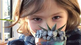 名家專用／草根影響力新視野（勿用）