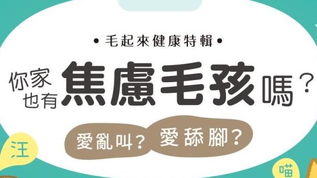 愛亂叫、舔腳？你家也有焦慮毛孩嗎？