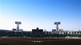 ▲阪神甲子園球場（圖／翻攝自阪神甲子園球場官網）