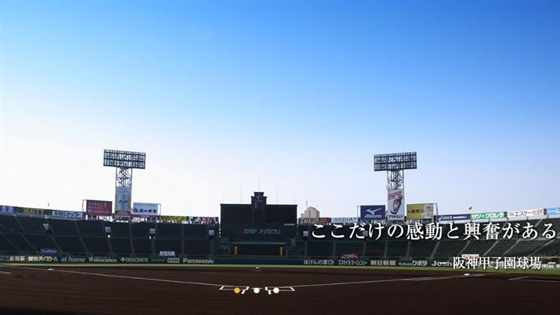 夏季甲子園取消　日專家估損失破千億