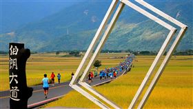 台東春節連假熱門景點　伯朗大道人氣高台東縣政府31日表示，109年春節連假期間受武漢肺炎疫情及天氣濕冷影響，各景點統計遊客人次下滑，今年最多民眾造訪景點前5名分別為伯朗大道、小野柳、水往上流、台東森林公園及鹿野高台。圖為在伯朗大道舉辦的慢跑活動情形。（台東縣政府提供）中央社記者盧太城台東傳真　109年1月31日