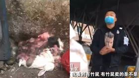 廣州,批發市場,南方都市報,野味,無良攤販