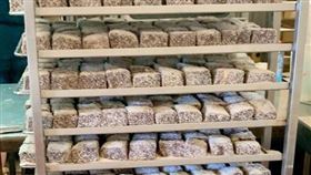 「大胃王比賽」死亡又一起…大媽疑遭蛋糕噎死　送醫不治
圖／翻攝自Top of the Bay Bakery臉書