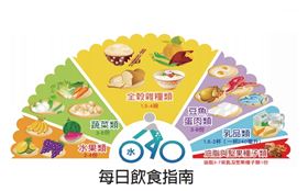 每日飲食健康指南