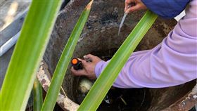 台南,屈公病,登革熱