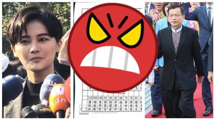 獨／藍委投錯不意外？選票樣式曝光了