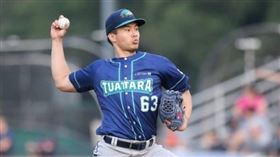 曾仁和澳洲職棒出賽。（資料圖／翻攝奧克蘭喙頭蜥隊推特）