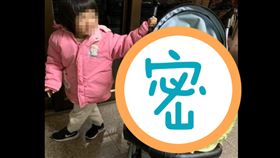 巨無霸高麗菜,嬰兒車,爆廢公社,澎湖,烏崁種,吃