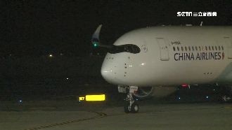 越南解禁原因曝光　滯留8航班成關鍵