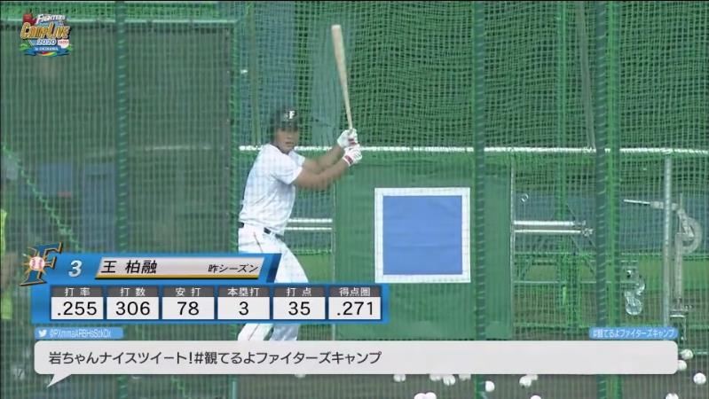 日職／王柏融春訓練打　直擊全壘打牆