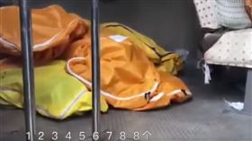 「醫院都是屍體！」　武漢記者直擊慘狀一度被消失（圖／翻攝自YouTube）