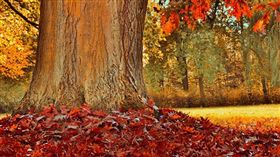 名家專用／草根影響力新視野（勿用）